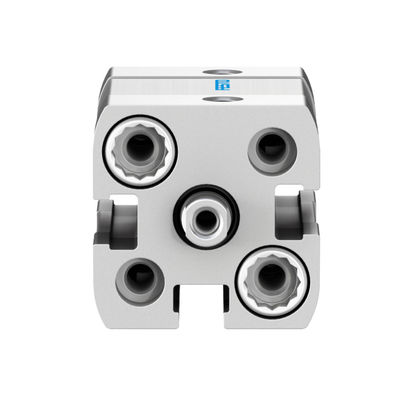 ADN-12-25-A-P-A FESTO الأسطوانة الهوائية الملتوية سبائك الألومنيوم البرميل NBR TPE-U(PU) أغلفة ديناميكية