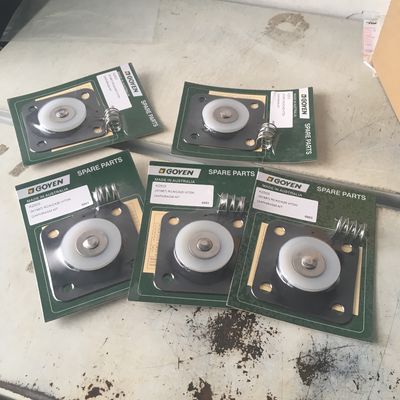 K2503 (M1887) GOYEN مجموعة إصلاح شريحة الغشاء لفولف النبض 1 "موديل صمام فيتون CA32 RCA32T/DD/MM/FS 8003901