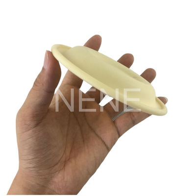 3/4" بوصة 93465 93111 DN20 انجرسول راند مضخة الحاجز سانتوبرين / PTFE حاجز إصلاح مجموعة PD07P-APS-PAA PD07P-APS-PTT