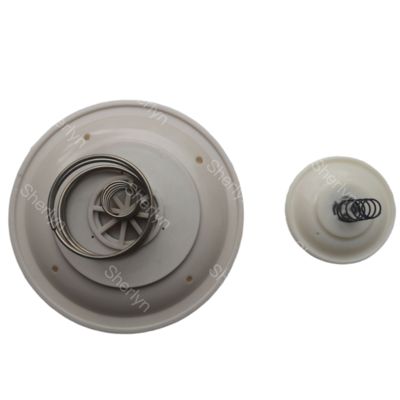 أوتيل M/D50 MD60 2 بوصة صمام نبض مجموعة إصلاح الحاجز AE1450B حلقة الختم TPEE