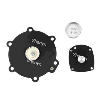 M50 مجموعة إصلاح الحجاب الحاجز Turbo 2" DN50 FP55 FM55 SQP50 SQM60