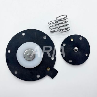 طقم إصلاح غشاء صمام النبض WSTSON WPS-CA/TG40، طقم إصلاح صمام الملف اللولبي، طقم إصلاح صمام النبض