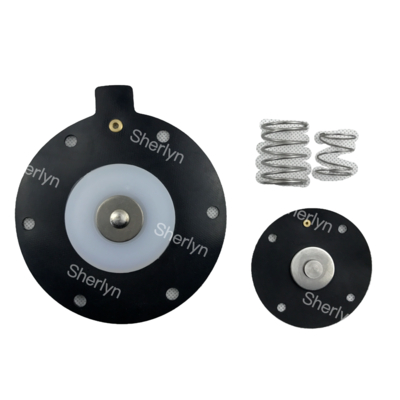 DMF-Z-40S BFEC كيس مع غشاء DMF-Z-40S 1.5 بوصة صمام نبضي كهرومغناطيسي طقم إصلاح الغشاء