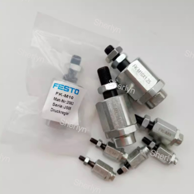 FESTO الاسطوانة العائمة FK-M6x 1