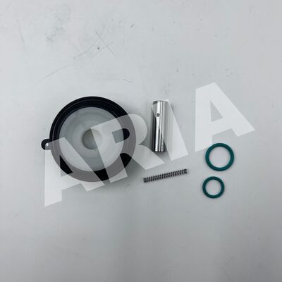 1256274 NORGREN BUSCHJOST طقم إصلاح صمام الملف اللولبي الحجاب الحاجز 8240000، 8240100، 8240200 8240200.9101.024.00