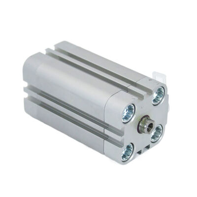ADVU-125-30-P-A FESTO ADVU-125-5-10-15-20-25-30-40-50-50-60-80-100-A-P-A الاسطوانة المدمجة