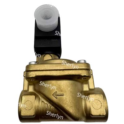 6281 بوركرت الصمام المغناطيسي الإلكتروني 00221931 G3/4 2/2 مفتوح عادة AC24V