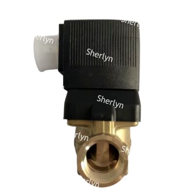 صمام الملف اللولبي 00221933 BURKERT النوع G3/4 2/2 مفتوح عادةً AC220V