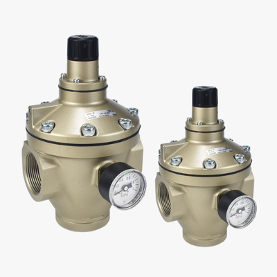 Explosion Proof Low Pressure Pilot Valve Rc2" Air Pressure Regulator for Chemical Applications