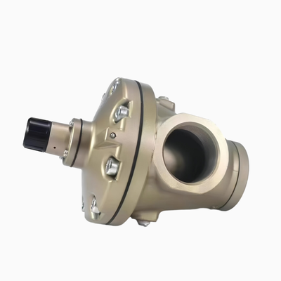 Rc2" Pilot Relief Valve with 1.0 MPa Max Operating Pressure and Die-cast Aluminum Body for Power Industry Air Pressure Regulator