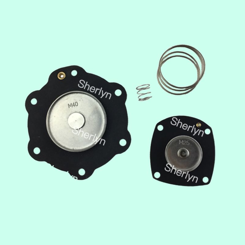 Turbo M40 M25 FP40 FM40 DP40 مجموعة إصلاح شريحة الصمام الكهرومغناطيسية