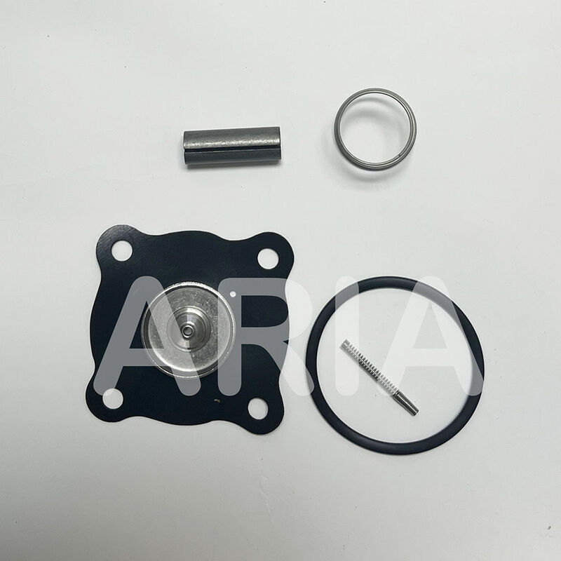 ASCO Electromagnetic Water Valve Repair Kit K302273 Diaphragm Pilot Spring Seal Ring K302277 C123670 K302276 SCE210D009 8210G009 D095A