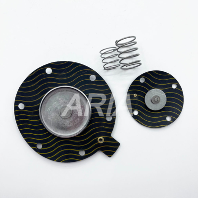 طقم إصلاح غشاء صمام النبض WSTSON WPS-CA/TG40، طقم إصلاح صمام الملف اللولبي، طقم إصلاح صمام النبض